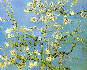 Vincent Van Gogh Blossomong Almond Tree Germany oil painting reproduction